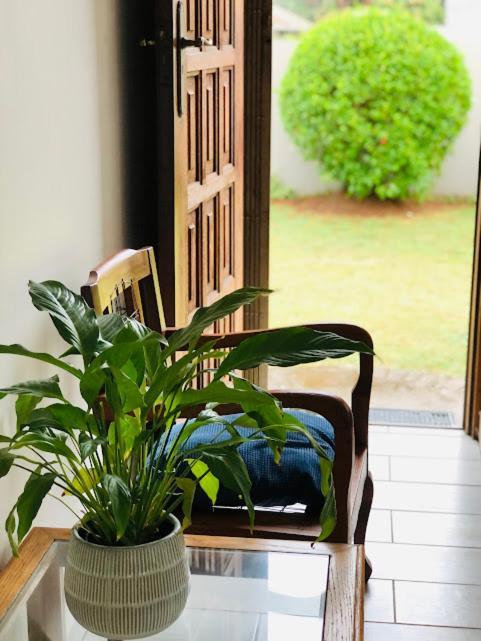 Danville Forest Guest House & Apartments Дърбан Екстериор снимка